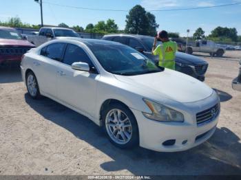  Salvage Nissan Maxima