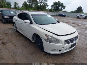  Salvage Nissan Maxima