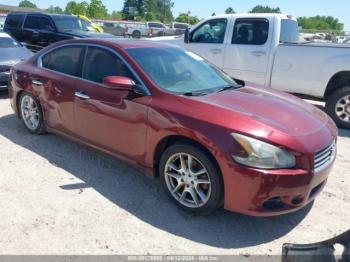  Salvage Nissan Maxima