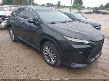  Salvage Lexus NX