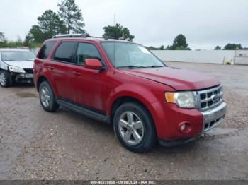  Salvage Ford Escape