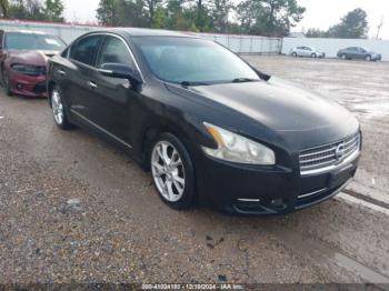  Salvage Nissan Maxima