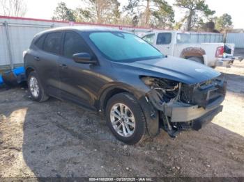  Salvage Ford Escape