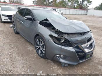  Salvage Nissan Maxima