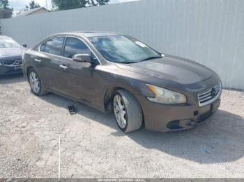  Salvage Nissan Maxima