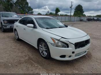  Salvage Nissan Maxima