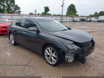  Salvage Nissan Maxima