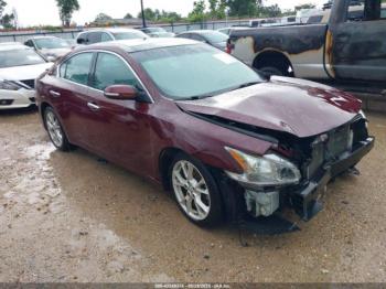  Salvage Nissan Maxima