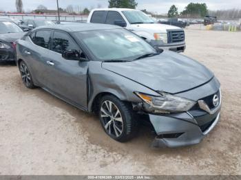  Salvage Nissan Maxima