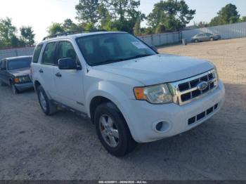  Salvage Ford Escape