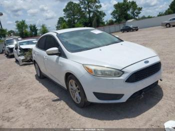  Salvage Ford Focus