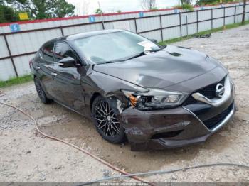  Salvage Nissan Maxima