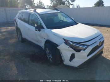  Salvage Toyota RAV4
