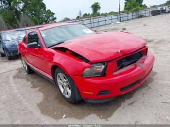  Salvage Ford Mustang