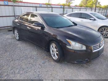  Salvage Nissan Maxima