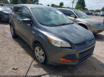  Salvage Ford Escape
