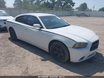  Salvage Dodge Charger