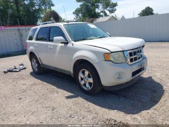  Salvage Ford Escape