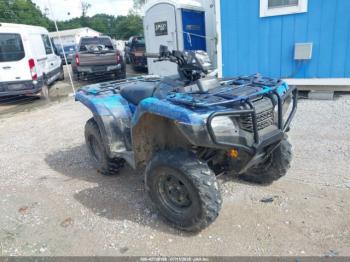  Salvage Honda Trx520