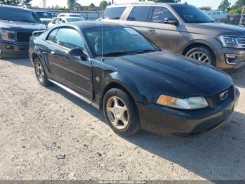  Salvage Ford Mustang