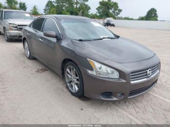  Salvage Nissan Maxima