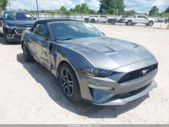  Salvage Ford Mustang