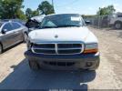 Dodge Dakota Image 7
