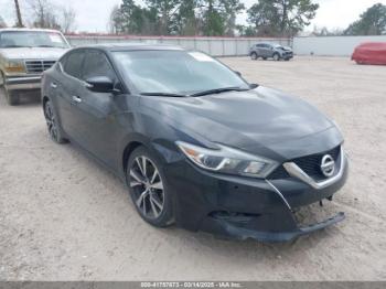  Salvage Nissan Maxima