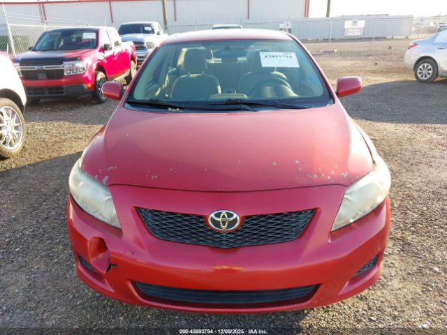 Toyota Corolla Le Image 15