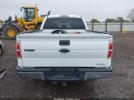 Ford F-150 Xlt Image 12