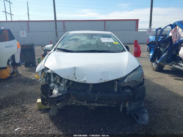 Toyota Corolla Le Image 16